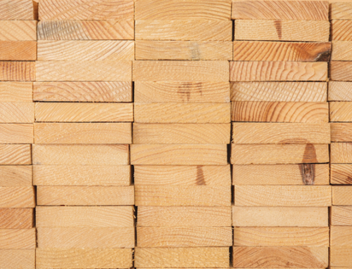 Pin, chêne et autres essences